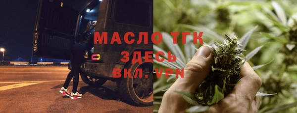 амф Верхний Тагил