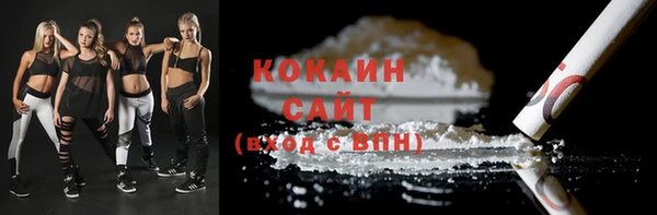 амф Верхний Тагил