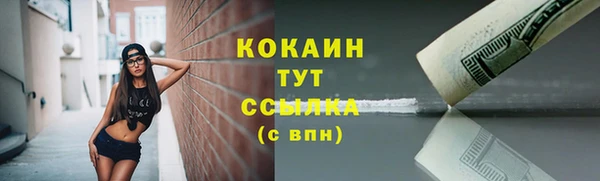 амф Верхний Тагил