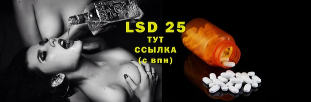 эйфоретик Верея
