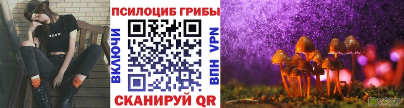купить закладку  Камызяк  Галлюциногенные грибы мухоморы 